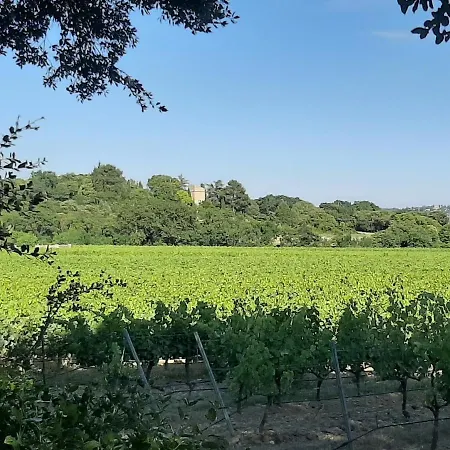 Au Clos Du Pressoir Sauna Et Piscine Au Coeur D'un Vignoble