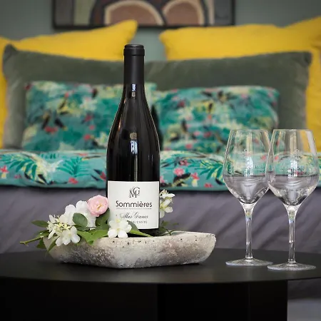 Au Clos Du Pressoir Sauna Et Piscine Au Coeur D'un Vignoble Alojamento de Acomodação e Pequeno-almoço 4*