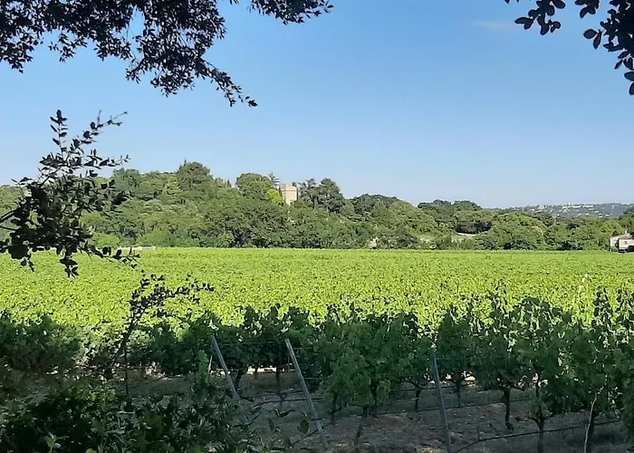 Au Clos Du Pressoir Sauna Et Piscine Au Coeur D'un Vignoble