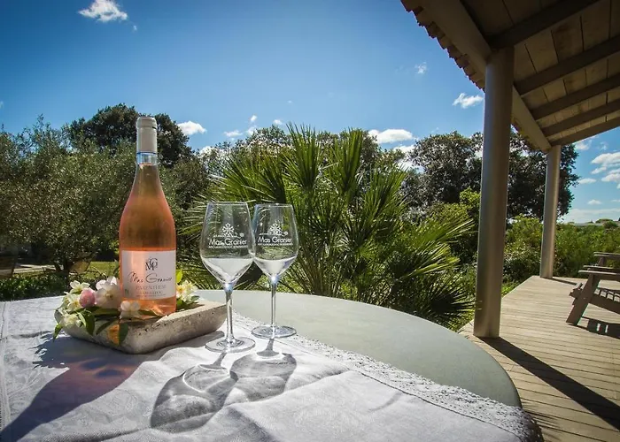 Au Clos Du Pressoir Sauna Et Piscine Au Coeur D'un Vignoble 4* Asperes